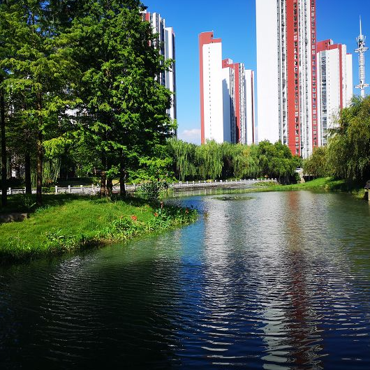 新華日報頭條 深度解析維爾利水環境綜合提升工程